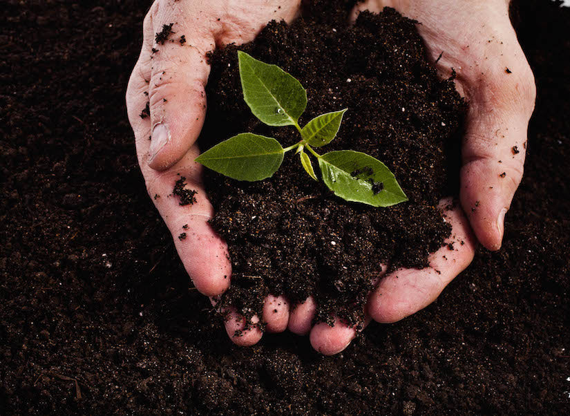 Countertop composting catches on among apartment-dwellers